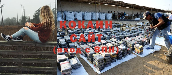 стаф Алексин