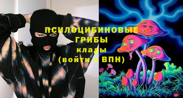 стаф Алексин