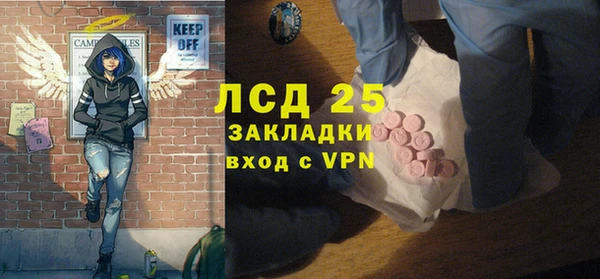 стаф Алексин