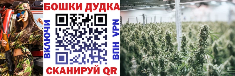 Купить где  Заводоуковск  Бошки Шишки семена 